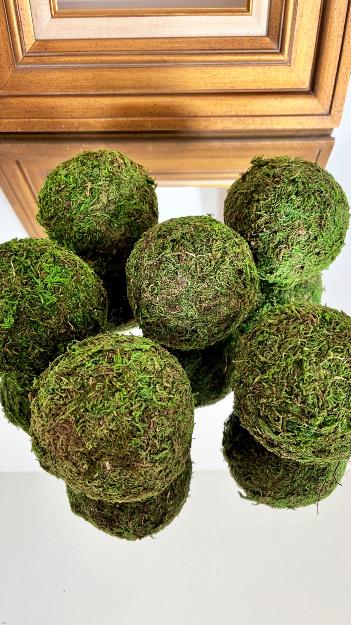 4 Inch Decorative Moss Ball (Set of 6)