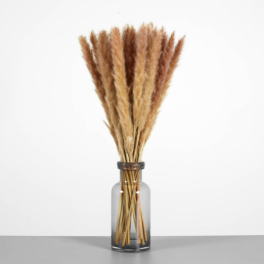Mini Pampas Grass (30 Stems) 50cm